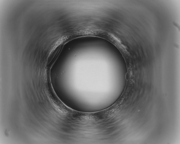 X0000098030250200804111329