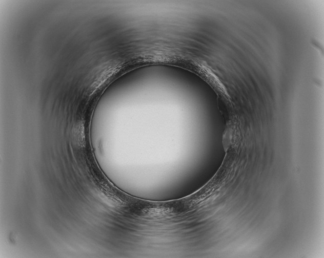 X0000098030251200804111329