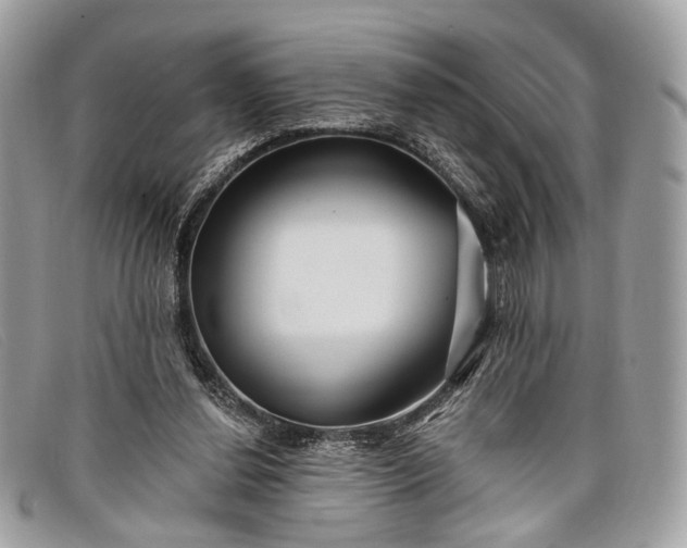 X0000098030252200804111329