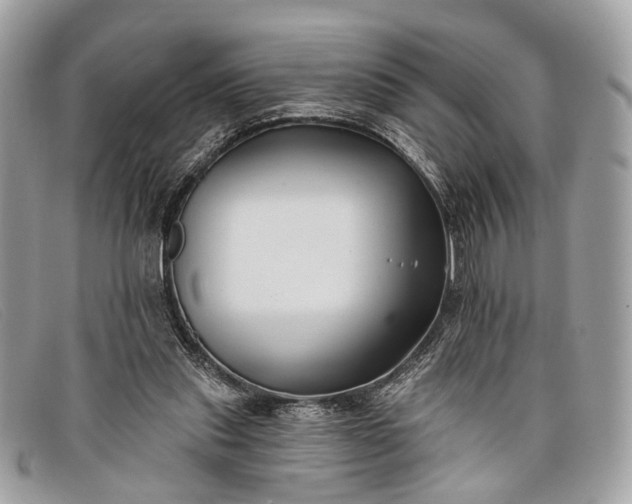 X0000098030253200804111329