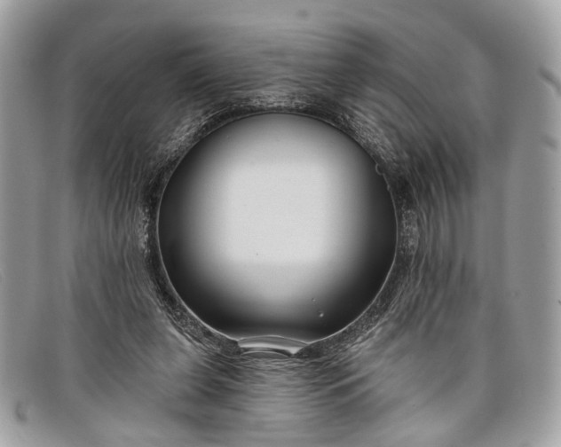 X0000098030255200804111329