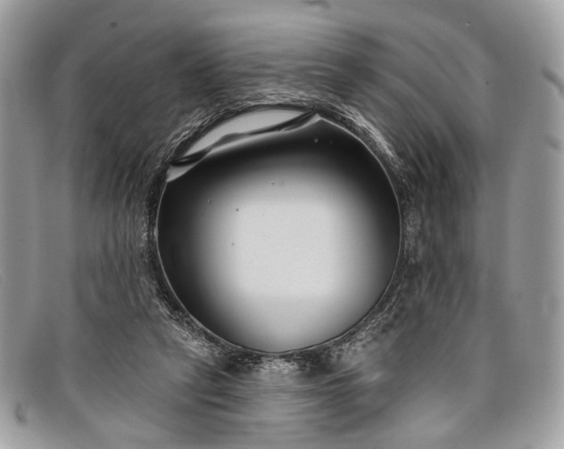 X0000098030257200804111329