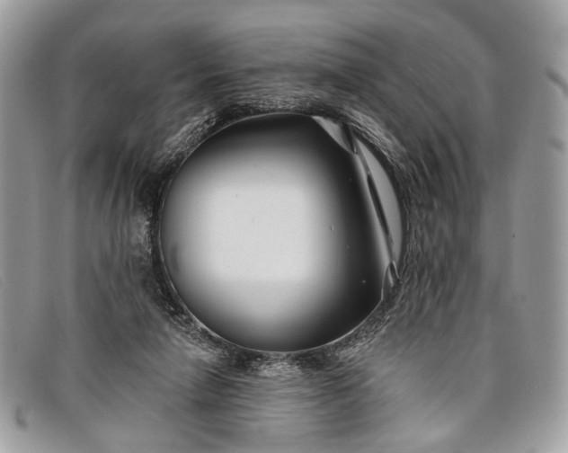 X0000098030258200804111329