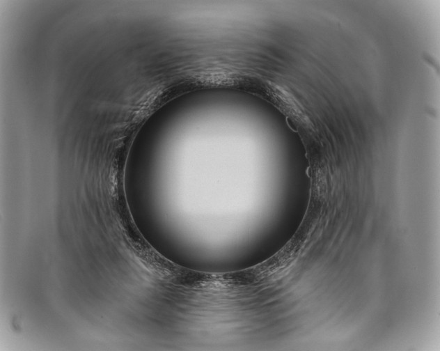 X0000098030259200804111329