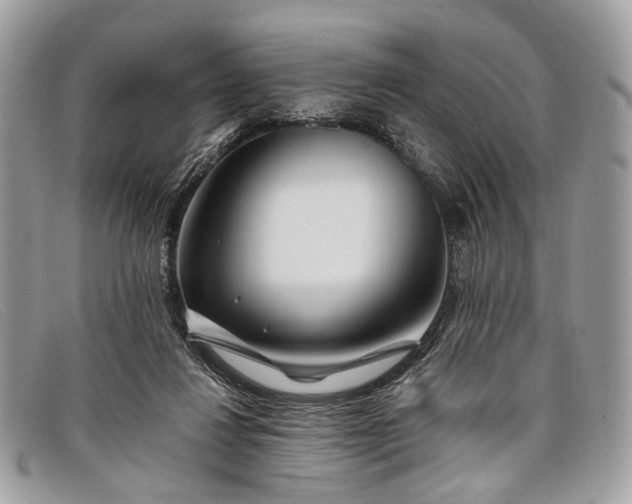 X0000098030260200804111329