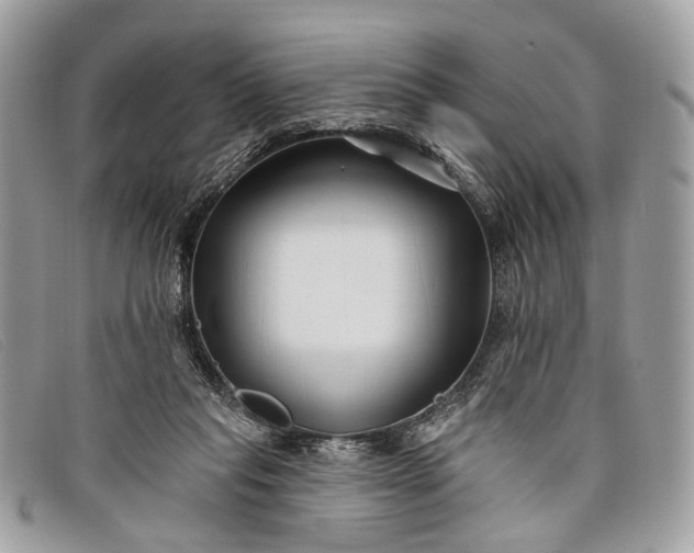 X0000098030261200804111329