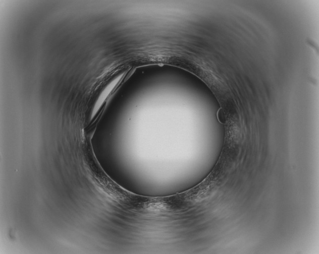 X0000098030262200804111329