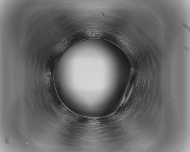 X0000098030263200804111329