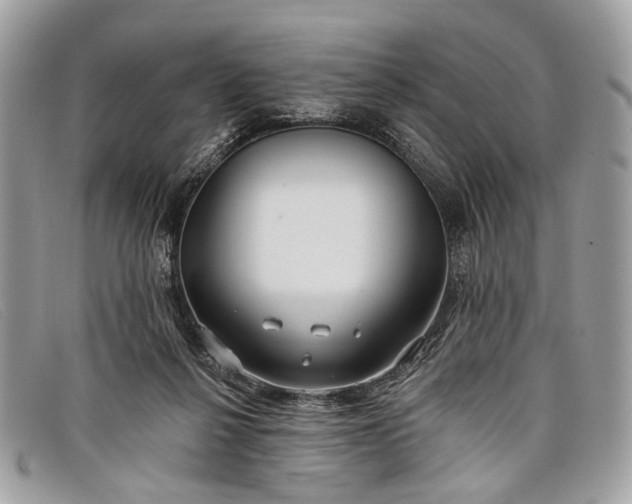 X0000098030264200804111329