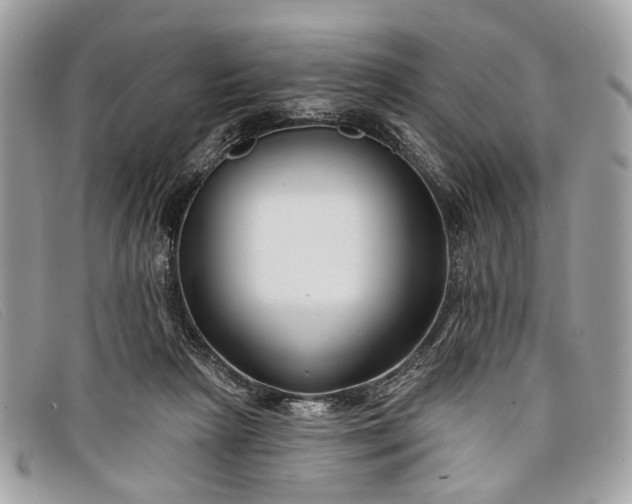 X0000098030265200804111329