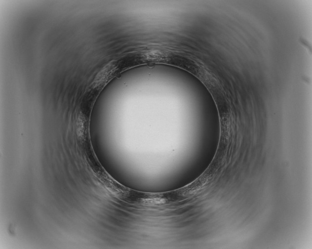 X0000098030266200804111329