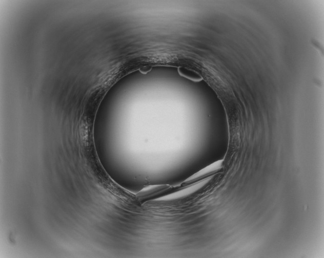 X0000098030268200804111329