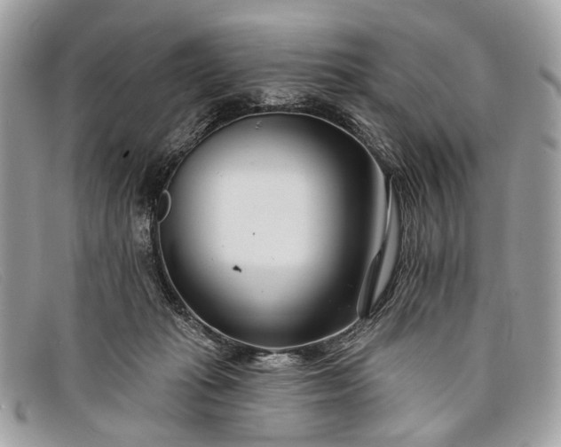 X0000098030269200804111329