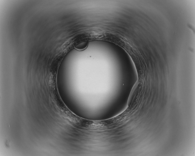 X0000098030270200804111329