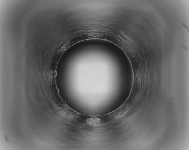 X0000098030271200804111329