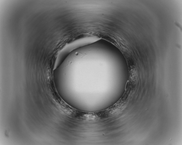 X0000098030272200804111329