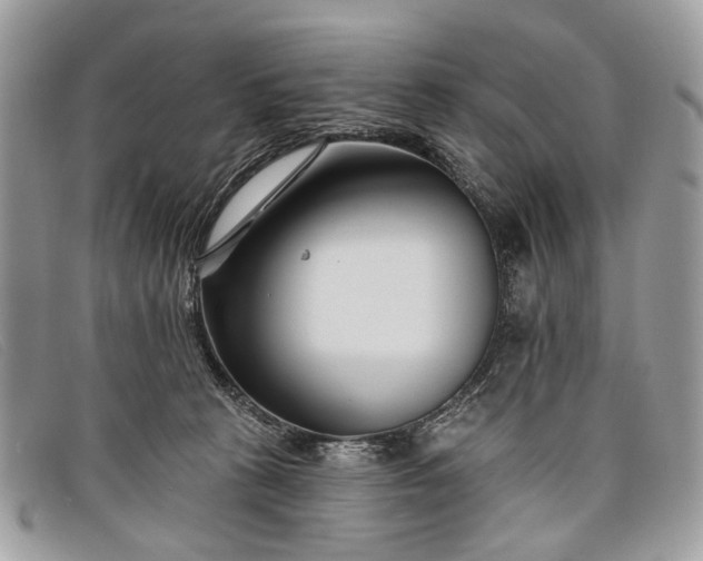 X0000098030273200804111329