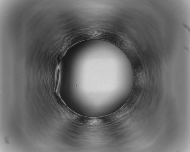 X0000098030274200804111329