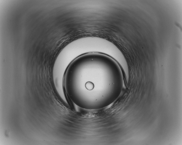 X0000098030276200804111329