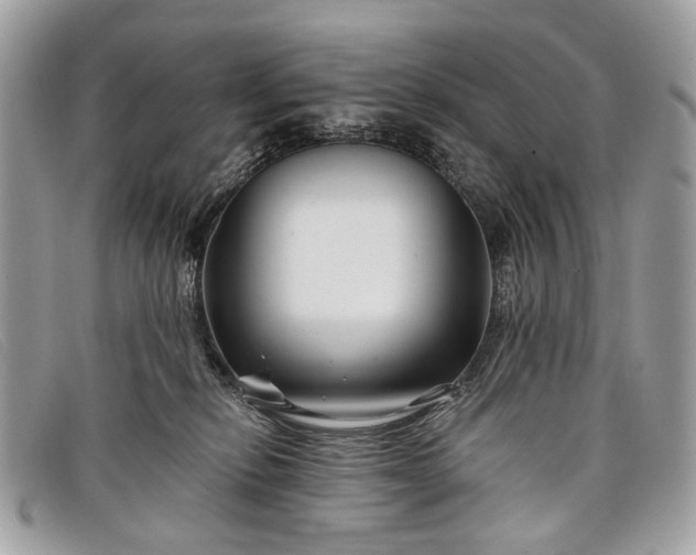 X0000098030278200804111329