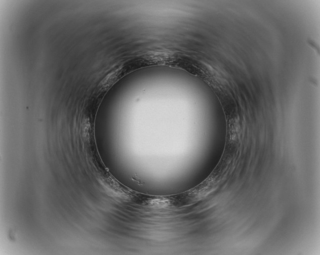 X0000098030279200804111329