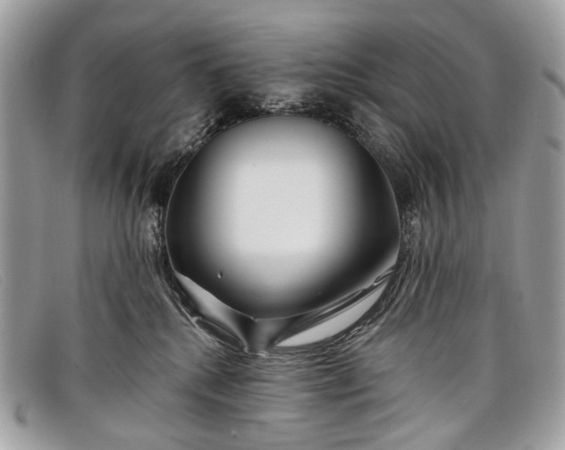 X0000098030280200804111329