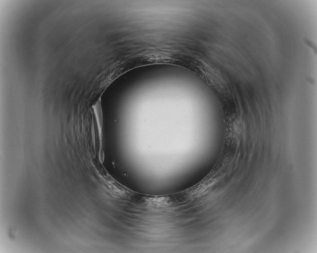 X0000098030281200804111329