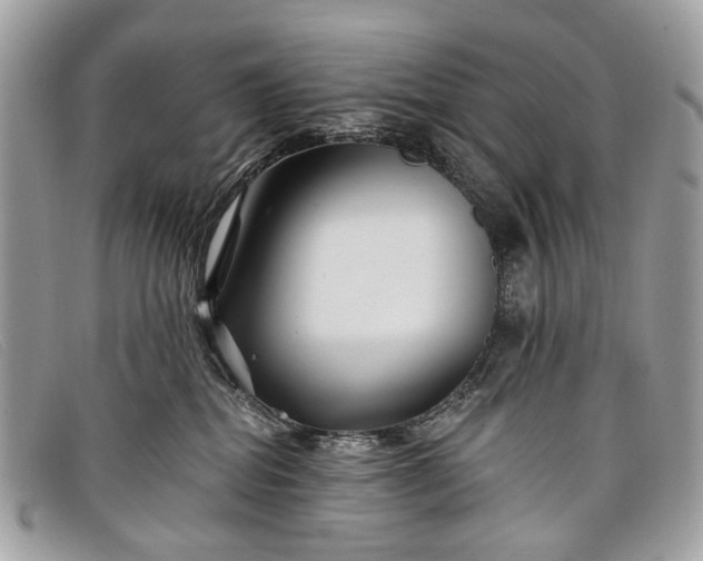 X0000098030282200804111329