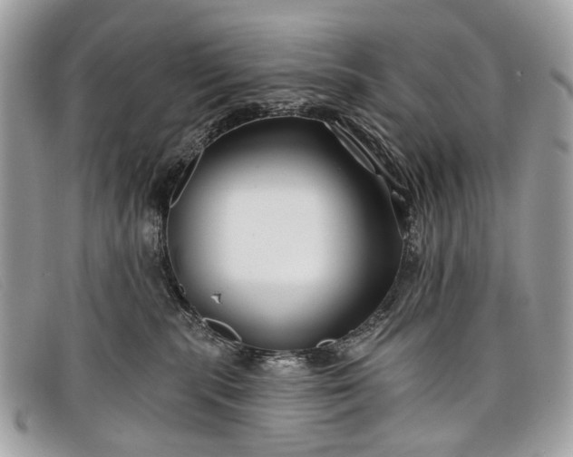 X0000098030283200804111329