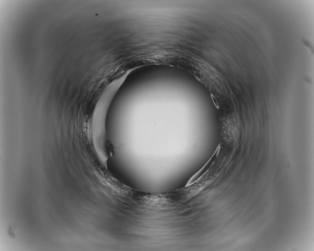 X0000098030284200804111329