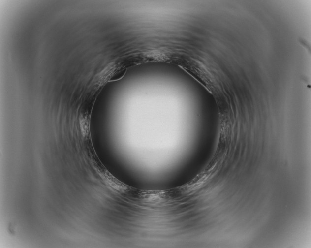 X0000098030285200804111329