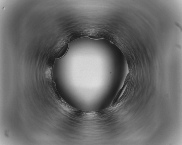 X0000098030286200804111329