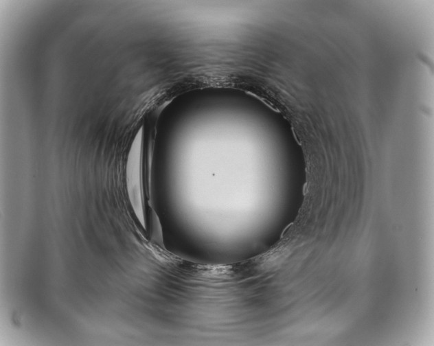 X0000098030288200804111329