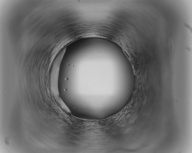 X0000098030289200804111329