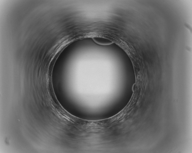 X0000098030290200804111329