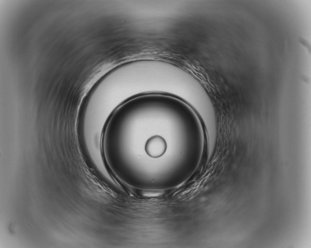 X0000098030292200804111329