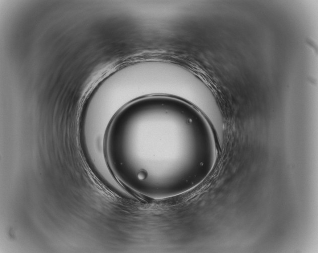 X0000098030293200804111329