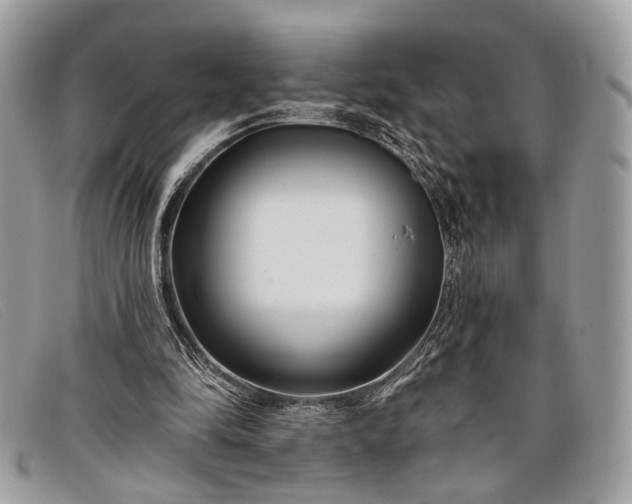 X0000098030294200804111329