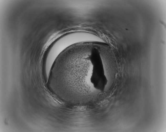 X0000098030295200804111329