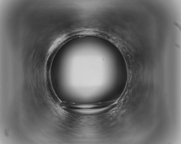 X0000098030296200804111329