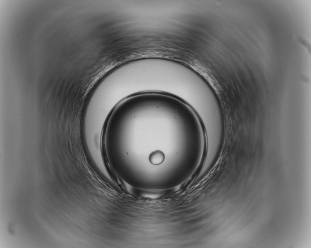 X0000098030297200804111329