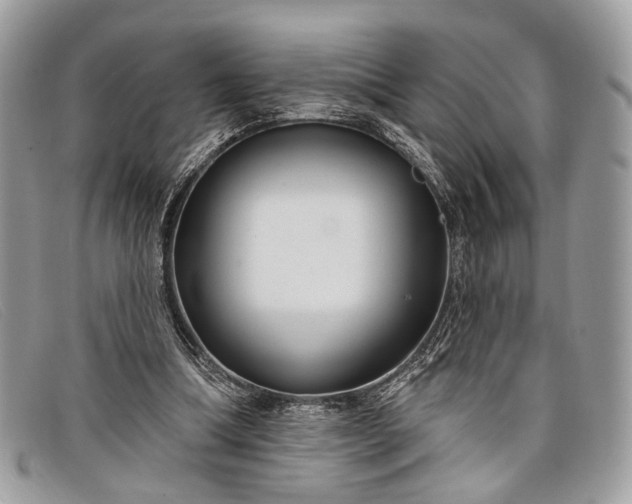 X0000098030298200804111329