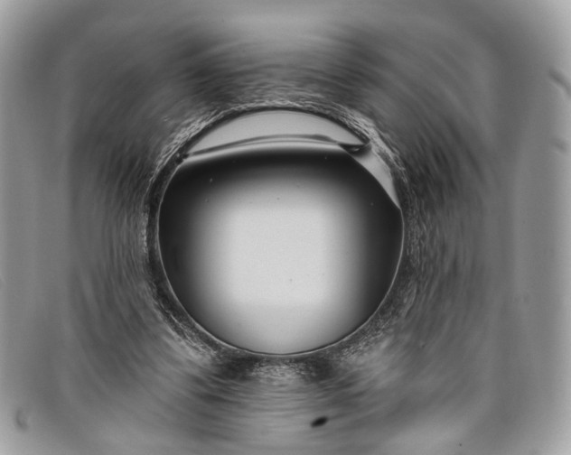 X0000098030299200804111329