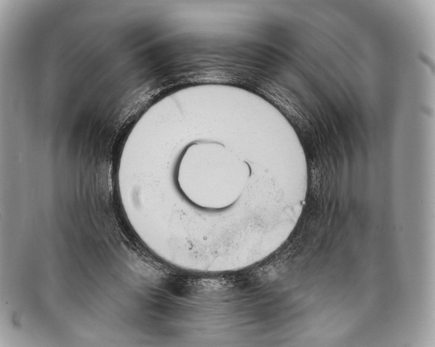 X0000098030302200804111329