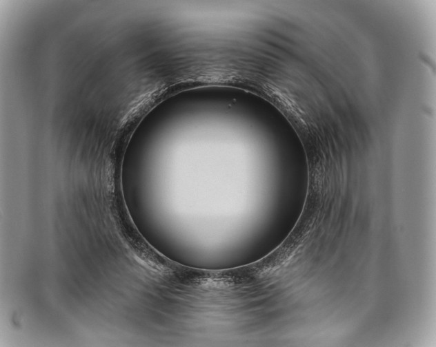 X0000098030303200804111329