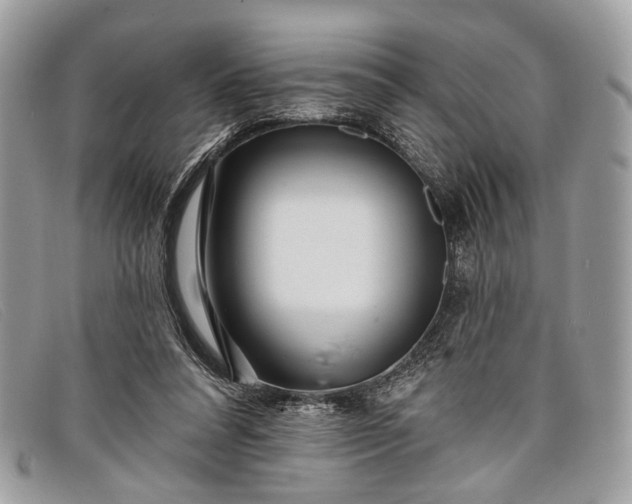 X0000098030304200804111329