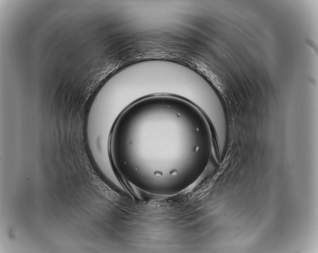 X0000098030305200804111328