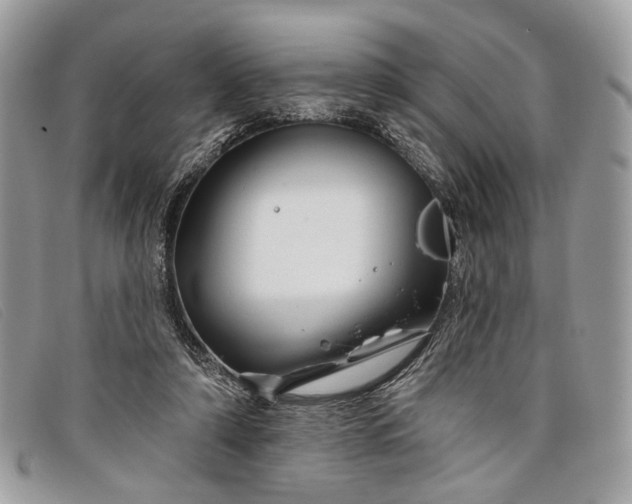 X0000098030306200804111328