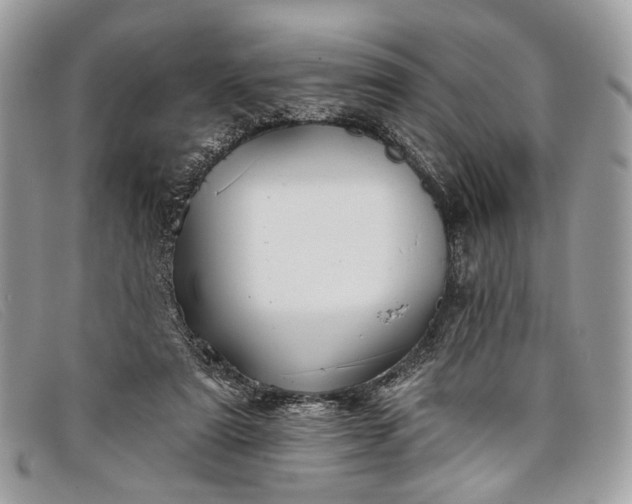 X0000098030307200804111328