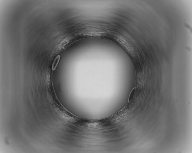 X0000098030309200804111328